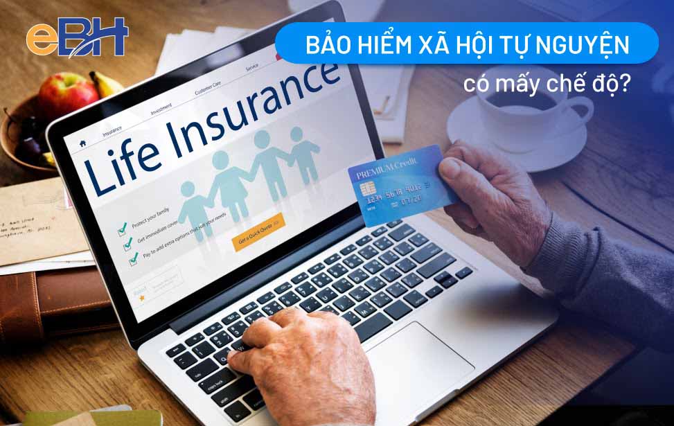 Năm 2022 bảo hiểm xã hội tự nguyện có mấy chế độ